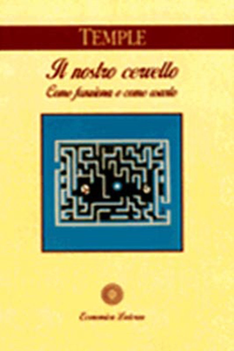 Il nostro cervello