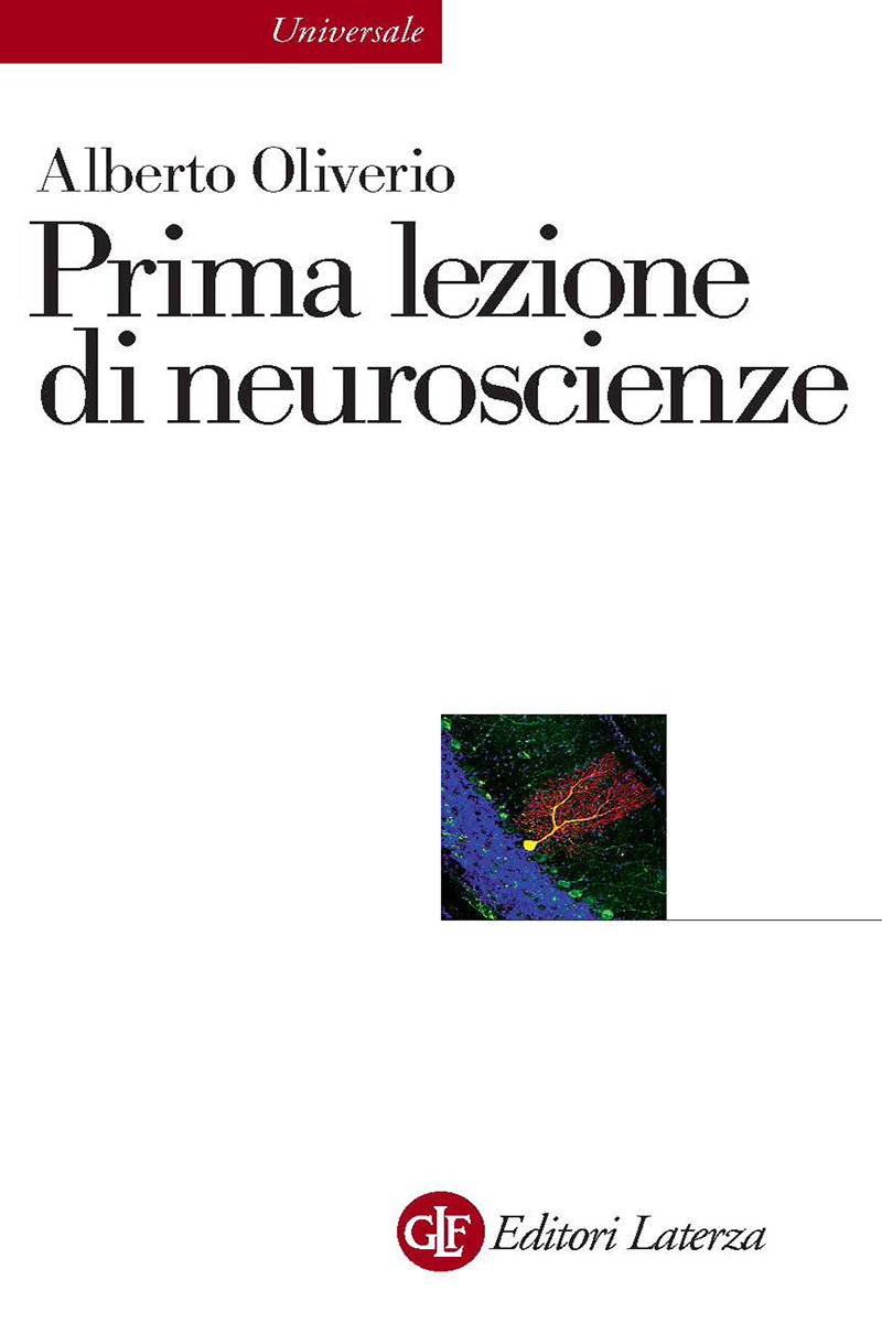 Prima lezione di neuroscienze