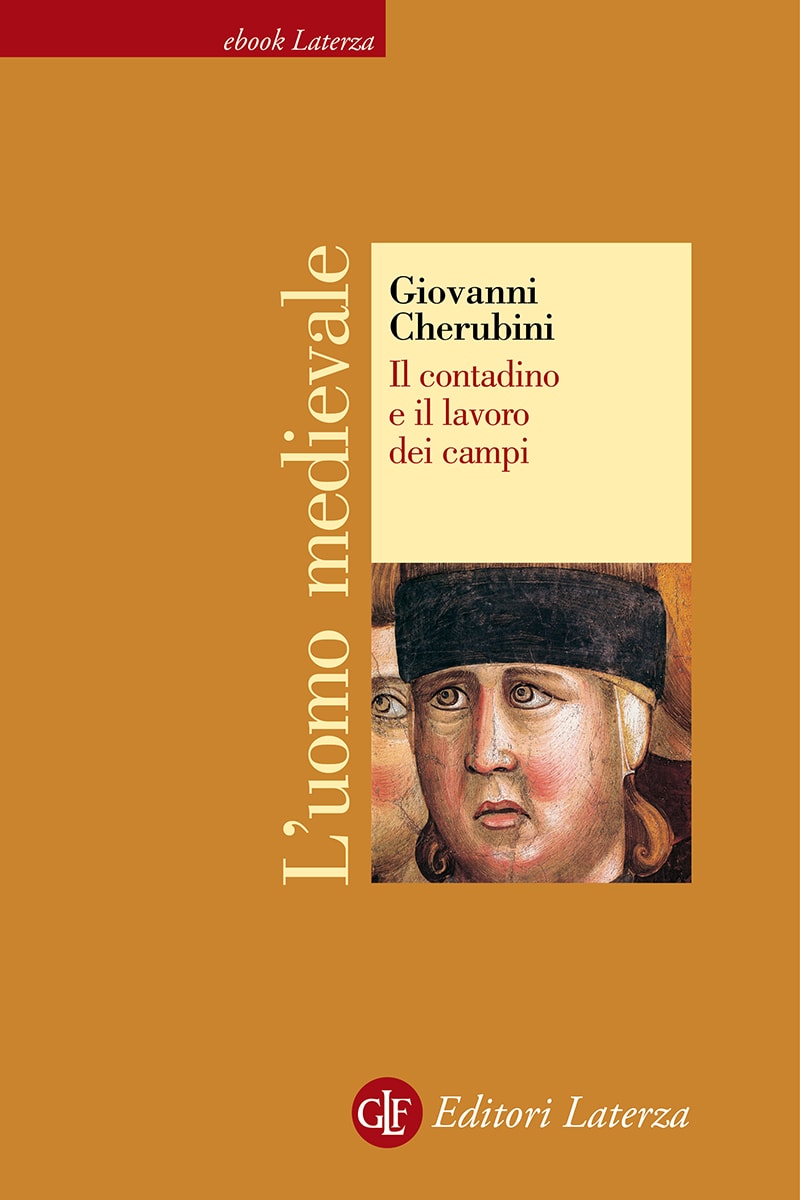 Il contadino e il lavoro dei campi