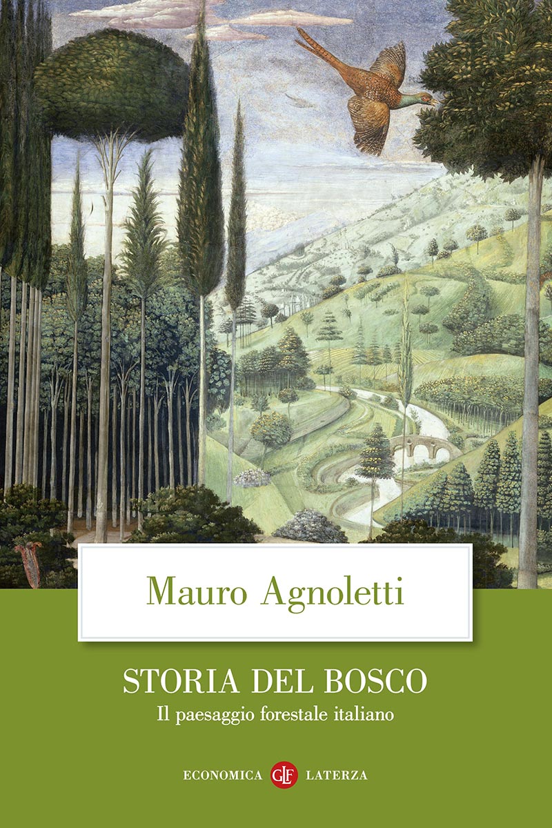 Storia del bosco