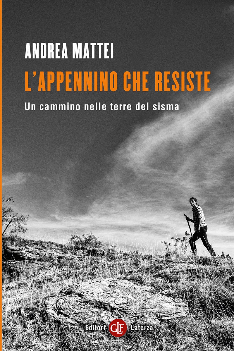 Copertina del libro 