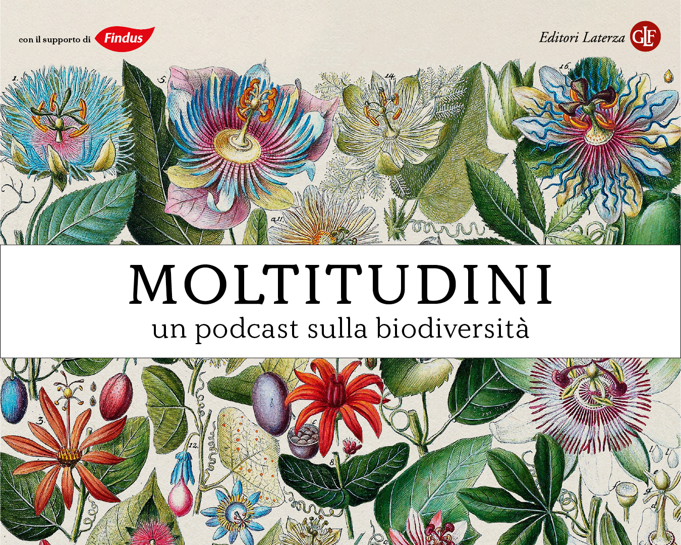 Moltitudini, un podcast sulla biodiversità