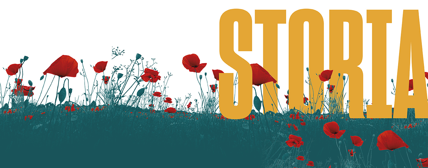 Scopri il nostro catalogo di storia!