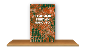 Stefano Mancuso sugere arrancar asfalto e transformar ruas em rios de árvores